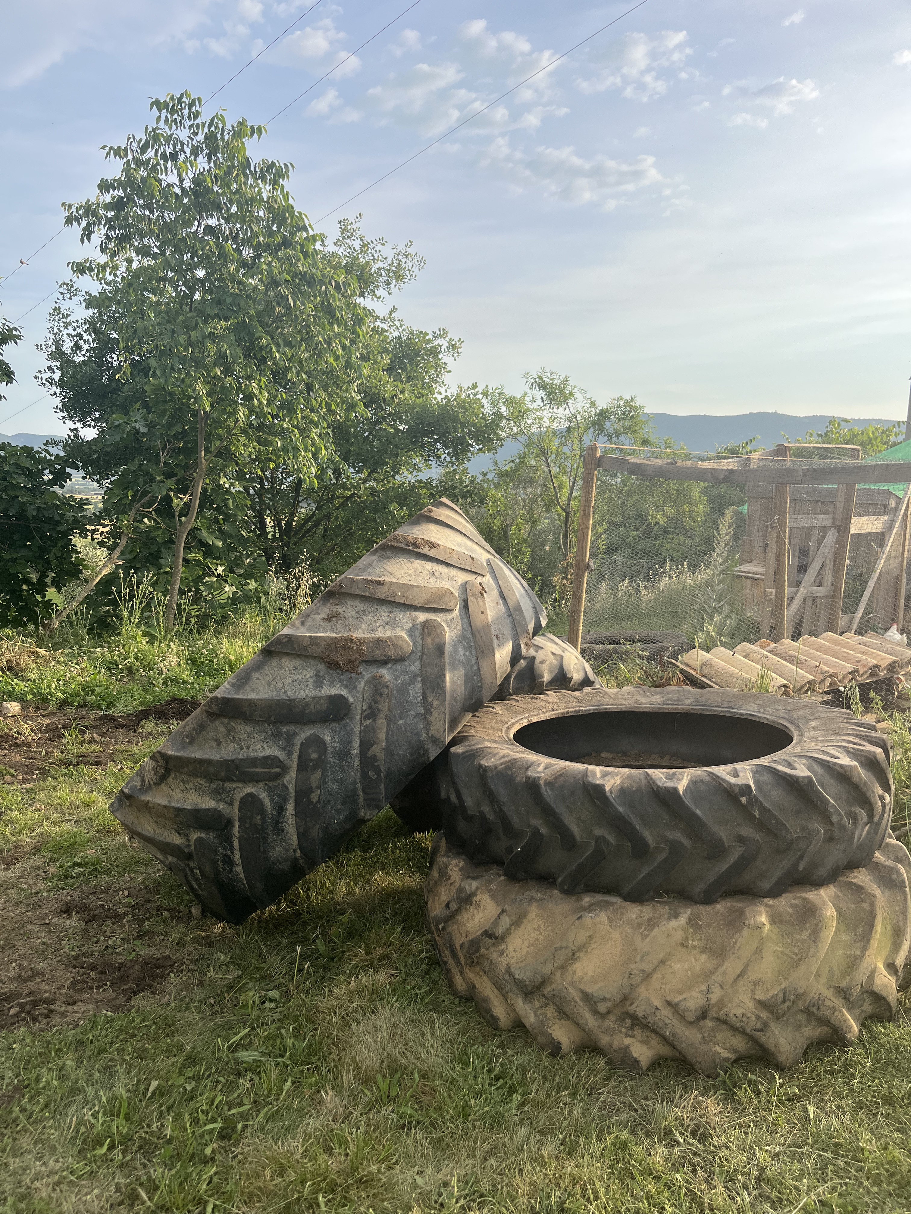 Trabajo de jardinería voluntaria en Casa Baraona